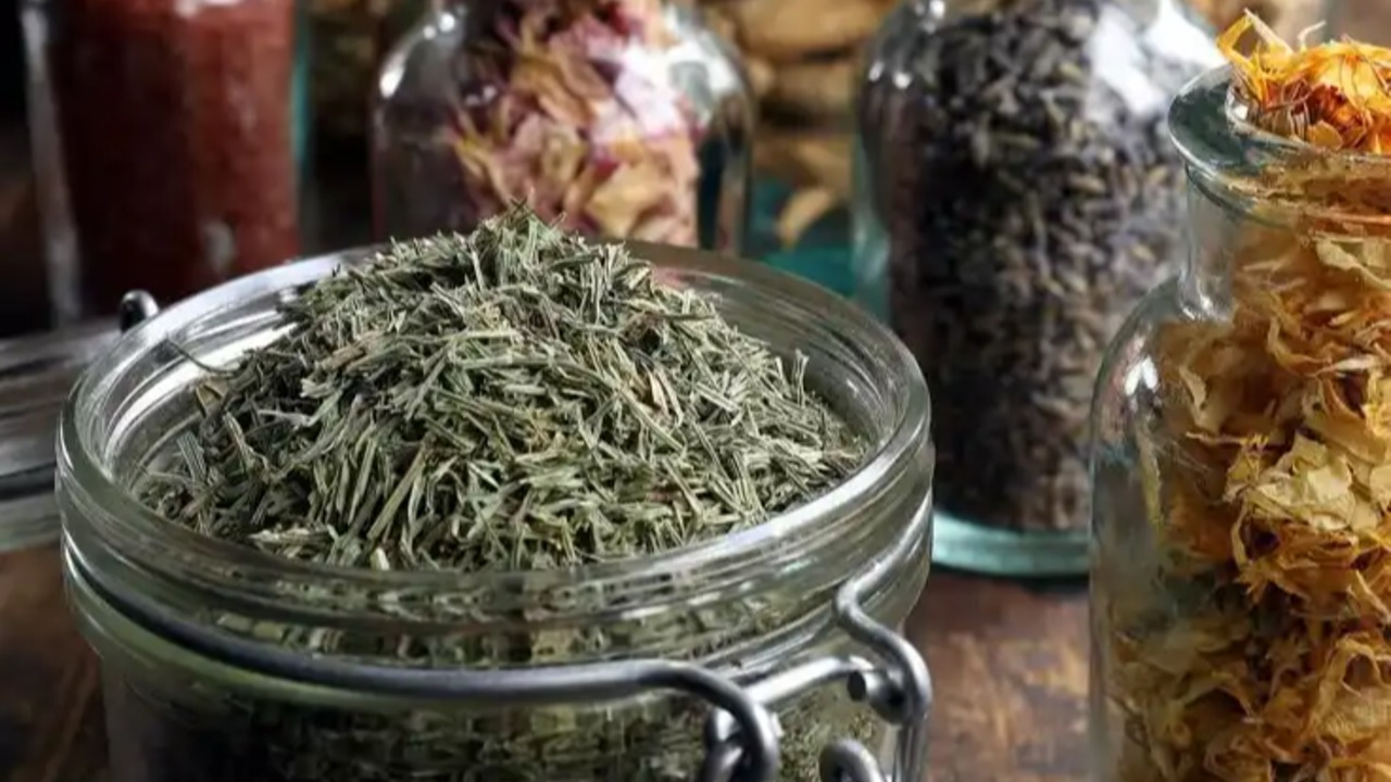 Kenapa Satu Tanaman Herbal Bisa Mengandung Banyak Senyawa?