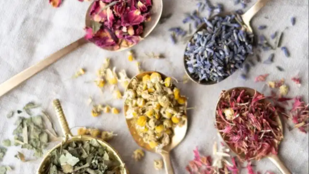 Apakah Herbal Bisa Dikonsumsi Setiap Hari?